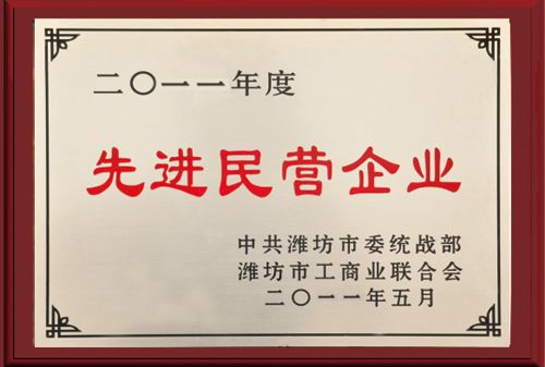 先進(jìn)民營(yíng)企業(yè).jpg